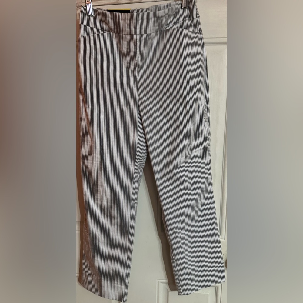 Hilary Radley Built-in Tummy Control Panel Pull On Ankle Pants, Off-White SZ S